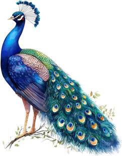 CreativeEdge 61 cm Decorative Bbeautiful Peacock Wall Sticker Self Adhesive Sticker