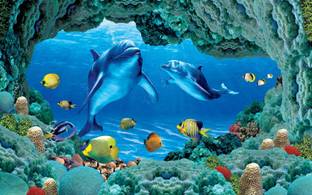 Zrintly 91 cm 3D Fish Wall (Posters-36Inch X 24Inch) Self Adhesive Sticker