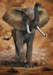 Dumdic 30 cm Elephant A4 Strong Self Adhesive Sticker