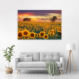 Zrintly 91 cm Sunflower-farm-field-yellow-flowers-beautiful-sunset (Posters-36Inch X 24Inch) Self Adhesive Sticker