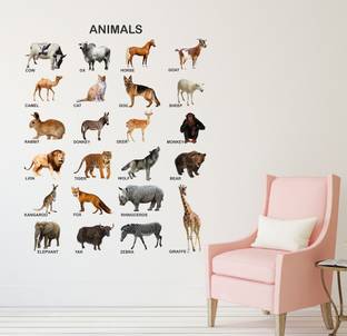 Flipkart SmartBuy 80 cm Animals|Kids Learning|Schools|Educations Self Adhesive Sticker