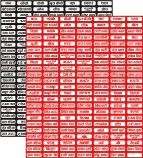 ShubhFly 4 cm Masala Name Sticker Kitchen Containers/Pantry COMBO Red and Black 320 Labels Self Adhesive Sticker