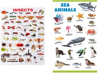 Ordershock 18 inch Sea Animals & Insects Wall Sticker For Home, Living Room Decor 12x18 Inches Self Adhesive Sticker