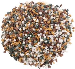 Green Plant indoor GravelStone1009 Engraved Oval Marble Stone