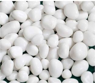 Omiyage Natural White Pebbles - Decorative Stones for HomeDecor,AquariumFishTank500gPack Regular Asymmetrical Sandstone Stone