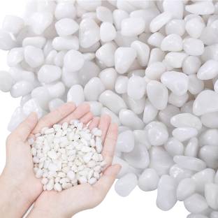 PERFY 1KG Natural Polished White Pebbles (5-20 mm) – Ideal for Plant Pots, Aquariums Polished, Regular Angular, Asymmetrical Marble Pebbles