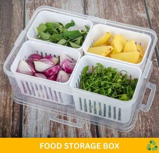 VARAHPRO 4 Grid Fridge Storage Box