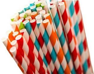 Raga Plus Straight Drinking Straw