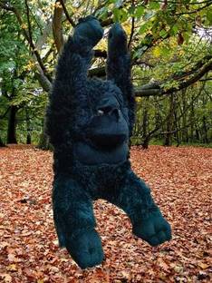 prezzie PrezzieGift Black Stuffed Soft Toy Cute Chimpanzee Gorilla Monkey for Hugging  - 60 cm