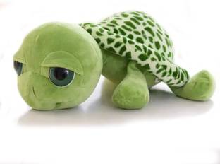 Cherubs Turtle Animal Soft Toy  - 35 cm