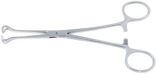 REVITI Babcock forceps surgical instrument 8 inch - 20 cm Utility Forceps
