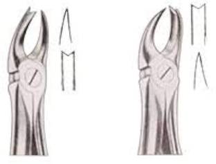 gplus Dental Cowhorn Forceps Left & Right (Pair) Tooth Extraction Utility Forceps