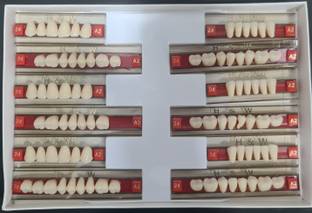 PRAKDENT Dental Health & Wealth Double Layer Resin Teeth Type 24/419-A2/ No Surgical Plier