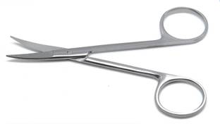 Agarwals Iris Scissor Fine 4" Curved Stevens Scissors