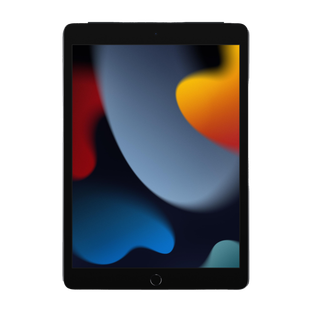 Apple iPad (9th Gen) 256 GB ROM 10.2 inch with 4G A13 Bionic Chip (Space Grey)