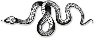 voorkoms Snake Tattoo Temporary Body Waterproof Boy and Girl Tattoo