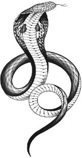 TATMODS Black Cobra Snake Real Temporary Tattoo Waterproof Tattoo For Men and Woman