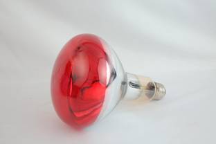 HCG Healthcure generation Infrared Bulb 245 V 150 Watt Bulb Base-E 27 Test Tube Clamp