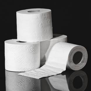 Everbite Eco friendly Soft Toilet Tissue Paper Rolls, Bathroom Tissue Roll Pack of 3 pcs Toilet Paper Roll
