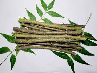 K DEVI Ayurvedic Natural Organic Neem Datun, manual Toothbrush Nim Tree Hard Toothbrush