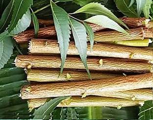 GMTRADERS NEEM STICK Medium Toothbrush