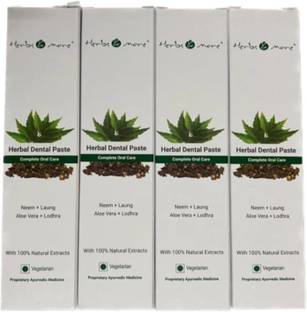 HERBS & MORE Netsurf Toothpaste 4pcs Toothpaste