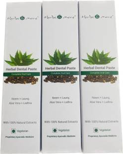 NETSURF Herbs and More Herbal Dental Paste 125 g Toothpaste
