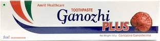 Amrit Healthcare Ganozhi Plus Ganoderma for loose teeths,sensitivity problems,bleeding gums Toothpaste
