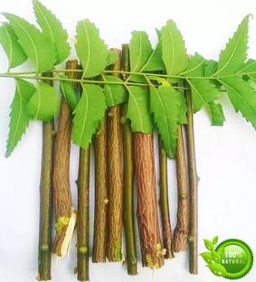 Olae Neem Datun|Chew-Stick For Healthy & Strong Teeth Toothpaste Toothpaste