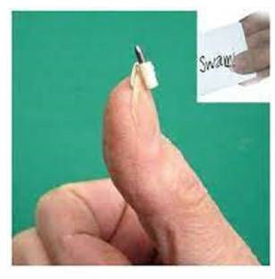wizerdy THE SWAMI GIMMICK SECRET NAIL WRITER MAGIC / MENTALISM SWAMI GIMMICK NAIL WRITER 1 Magic Tricks