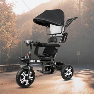N2P Reversible Seat Tricycle with Parent Push Bar,Canopy,Storage Basket Best For 1 to 5 Years Baby Kids Tricycle