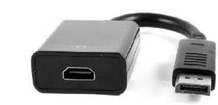 TERABYTE  TV-out Cable Display Port (Not USB) to HDMI Adapter DP to HDMI Converter Male to Female