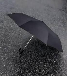 ASHOKA BLACK HANDLE 2FOLD Umbrella