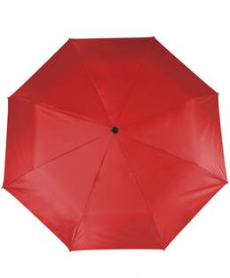 Flipkart SmartBuy 2 fold Auto Open Polyester Umbrella