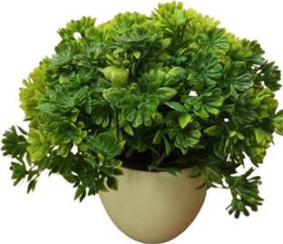 ASU flower pot Vase Filler