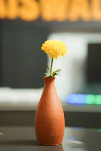 Terracotta Flower Pot Round Shape Keeping Indoor Outdoor Garden Plant Flower pot Vase Filler