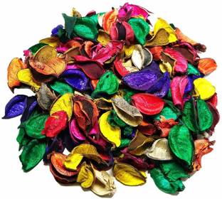 VANNEF Mix Color Potpourri Dried Flower Leaves Non-Fragrance, 100 gm Vase Filler