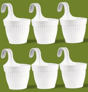 Plants Beauty Circle (Pack of 6) Plastic Vase