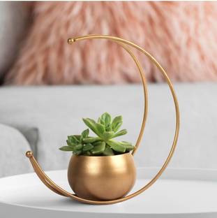 GALAXY CRAFTS Moon vase Iron Vase (9 inch, Gold) Geometric vase Iron Vase
