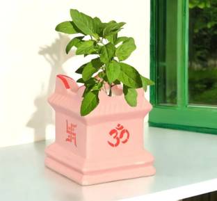 The Potter Tulsi Ceramic Planter Pots 6.5 inch Square Pot Decorative ceramic pot for Tulsi Ceramic Vase