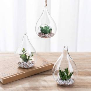 AAMU MOON Terrarium, Tear Drop Shape Hanging Planter For Plant & Indoor Gardening, 1 Piece Glass Vase