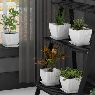 BELLERBIRD Premium Quality Square Shape Flower Pot For Indoor Plant Plastic Vase