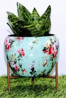 Option Gallery Steel Vase