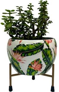 The Potter Ceramic Vase