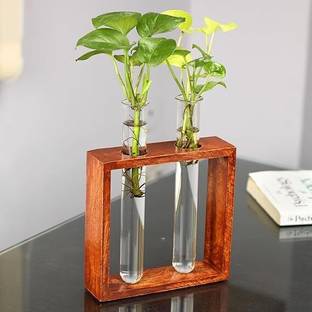 The Potter Square Wooden Plant Holder Modern Test Tube Planter| Office/Living Room Glass Vase