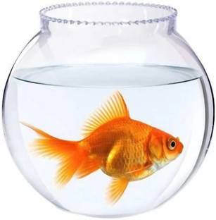 BILAL ANSARI Designer Hand Beautiful Decorative Glass Table Top fish Pot multipurpose Vase for home, office, restaurant, hall Glass Vase