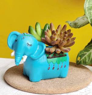 Pancikaa Elephant Shape Succulent Planter Flower Pot Home Garden Decoration Without Plant Polyresin Vase