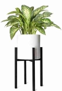 Crafty Creation Indoor Round Planter with Metal Stand Plant Container Set Iron Vase Iron Vase