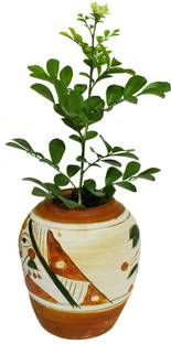 Dishan Traditional Terracotta Home decorative Flower pot Brown Tulips Artificial Flower  with Pot