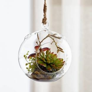 ayriv Borosilicate Glass Vase